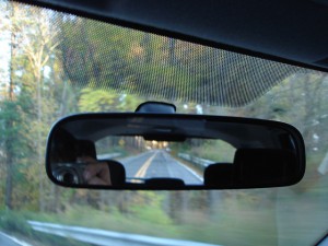 You Can't Drive Your Car with Your Rear View Mirror - Vested
